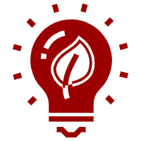 upload/20241129144608.png